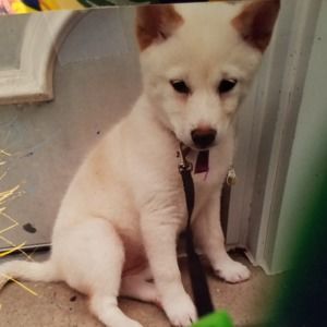 Meet your Posher, Carolyn